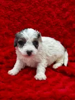 processed/3c1a3f1a-e919-43f1-8c8a-a0013bed5da4/listing/0c5f3afe-ede8-4b13-9ba6-9328558f9824/fd503371-da9f-4f9d-9752-3f7be0f984e0