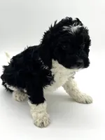 processed/3c1a3f1a-e919-43f1-8c8a-a0013bed5da4/listing/10a1d08e-7344-4cdf-9958-8427f174a53f/c9965f67-e56a-4f3c-9640-47f360a127f9