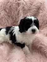 processed/3c1a3f1a-e919-43f1-8c8a-a0013bed5da4/listing/3b8bb249-f507-4903-8022-4c96c1841a92/58fd9cf1-6ba6-4503-be1f-65f25ae6ba27