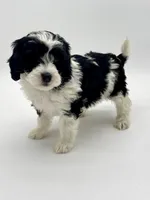 processed/3c1a3f1a-e919-43f1-8c8a-a0013bed5da4/listing/3b8bb249-f507-4903-8022-4c96c1841a92/c0e872d2-00e7-41ae-b68b-e5d013544f30