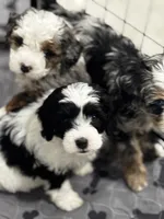 processed/3c1a3f1a-e919-43f1-8c8a-a0013bed5da4/listing/3b8bb249-f507-4903-8022-4c96c1841a92/cddf23d8-31d0-4327-bf2a-4f97979234c2