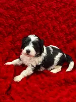 processed/3c1a3f1a-e919-43f1-8c8a-a0013bed5da4/listing/3b8bb249-f507-4903-8022-4c96c1841a92/d7c6f312-232e-466f-906d-78ea984584a3