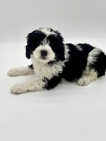 processed/3c1a3f1a-e919-43f1-8c8a-a0013bed5da4/listing/3b8bb249-f507-4903-8022-4c96c1841a92/fc1334c7-31a8-464f-94cb-80e1223df981