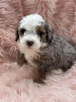 processed/3c1a3f1a-e919-43f1-8c8a-a0013bed5da4/listing/66ef6dac-6f29-406d-9250-fe577c943548/00b96372-7641-4299-a853-f8c1703d8c81