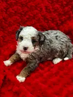 processed/3c1a3f1a-e919-43f1-8c8a-a0013bed5da4/listing/66ef6dac-6f29-406d-9250-fe577c943548/29a8efb7-7ade-42e8-8007-5ca552969e07