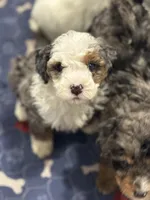 processed/3c1a3f1a-e919-43f1-8c8a-a0013bed5da4/listing/66ef6dac-6f29-406d-9250-fe577c943548/c009ee10-4a2f-4b6a-a3d4-879c206003a0