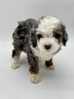 processed/3c1a3f1a-e919-43f1-8c8a-a0013bed5da4/listing/66ef6dac-6f29-406d-9250-fe577c943548/f9ff4818-4361-4942-bd0a-b2fbb808eb69