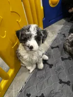 processed/3c1a3f1a-e919-43f1-8c8a-a0013bed5da4/listing/a23818cd-c1a6-42db-9b61-8473dd25d1bc/2fc319b3-8ac1-4306-aa0a-4c009eed79c0