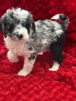 processed/3c1a3f1a-e919-43f1-8c8a-a0013bed5da4/listing/a23818cd-c1a6-42db-9b61-8473dd25d1bc/4f8e86a6-a0f4-4ad5-b132-978e390ef5c0