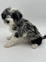 processed/3c1a3f1a-e919-43f1-8c8a-a0013bed5da4/listing/a23818cd-c1a6-42db-9b61-8473dd25d1bc/ca472dae-5c01-4cc8-8fa9-b5784b686c8e