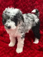 processed/3c1a3f1a-e919-43f1-8c8a-a0013bed5da4/listing/a23818cd-c1a6-42db-9b61-8473dd25d1bc/e25498a7-2733-4fa1-924b-1c342b692237