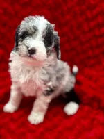 processed/3c1a3f1a-e919-43f1-8c8a-a0013bed5da4/listing/a23818cd-c1a6-42db-9b61-8473dd25d1bc/e72effca-d507-4982-8b6e-417f073435aa