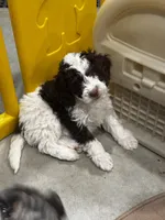 processed/3c1a3f1a-e919-43f1-8c8a-a0013bed5da4/listing/c68f7aee-f7ed-4586-9e1e-9d308c4fb684/3d7655b0-6158-4469-a534-bbe7d5d43930