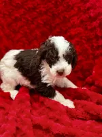 processed/3c1a3f1a-e919-43f1-8c8a-a0013bed5da4/listing/c68f7aee-f7ed-4586-9e1e-9d308c4fb684/9aa815ca-d681-42b0-81d9-23f509ef25b4