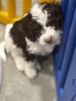 processed/3c1a3f1a-e919-43f1-8c8a-a0013bed5da4/listing/c68f7aee-f7ed-4586-9e1e-9d308c4fb684/beeef949-b8e2-47a5-8657-fa5cfcbde90a