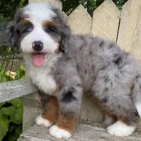 processed/3c2083a3-6458-4cc1-88ee-d62a0c0ca710/facility/20e20e84-edc2-4b33-baf8-ac9566964eb0