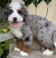 processed/3c2083a3-6458-4cc1-88ee-d62a0c0ca710/facility/20e20e84-edc2-4b33-baf8-ac9566964eb0