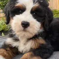 processed/3c2083a3-6458-4cc1-88ee-d62a0c0ca710/facility/2463659f-0bb5-4c2f-aad8-d4d0ff417101