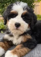 processed/3c2083a3-6458-4cc1-88ee-d62a0c0ca710/facility/2463659f-0bb5-4c2f-aad8-d4d0ff417101