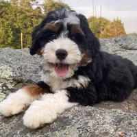 processed/3c2083a3-6458-4cc1-88ee-d62a0c0ca710/facility/287563f0-ffeb-426d-8f40-c7ccfc4d4a66