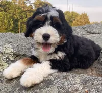 processed/3c2083a3-6458-4cc1-88ee-d62a0c0ca710/facility/287563f0-ffeb-426d-8f40-c7ccfc4d4a66