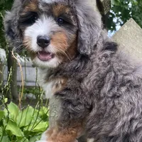 processed/3c2083a3-6458-4cc1-88ee-d62a0c0ca710/facility/3003d64f-df6d-4a21-99ef-7815b0a52492