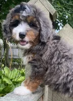 processed/3c2083a3-6458-4cc1-88ee-d62a0c0ca710/facility/3003d64f-df6d-4a21-99ef-7815b0a52492