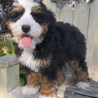 processed/3c2083a3-6458-4cc1-88ee-d62a0c0ca710/facility/6aa7fbb9-403c-4ae2-9ae9-d41497cbd9db