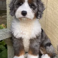 processed/3c2083a3-6458-4cc1-88ee-d62a0c0ca710/facility/6cd61ab7-d825-4e6d-b3e7-f3cad4fe86f4