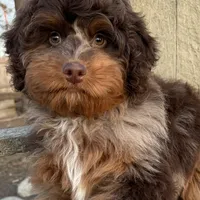 processed/3c2083a3-6458-4cc1-88ee-d62a0c0ca710/facility/abb81975-07dd-49a6-acd6-5fff6286b9a1