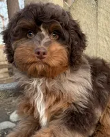 processed/3c2083a3-6458-4cc1-88ee-d62a0c0ca710/facility/abb81975-07dd-49a6-acd6-5fff6286b9a1