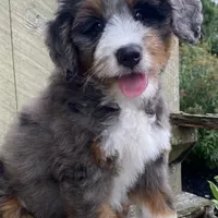 processed/3c2083a3-6458-4cc1-88ee-d62a0c0ca710/facility/d20ca284-a4d9-468a-b050-00400c18e11b