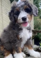 processed/3c2083a3-6458-4cc1-88ee-d62a0c0ca710/facility/d20ca284-a4d9-468a-b050-00400c18e11b