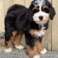 processed/3c2083a3-6458-4cc1-88ee-d62a0c0ca710/facility/ed389781-ef70-4f4b-814c-32ccaf9b09ed