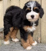 processed/3c2083a3-6458-4cc1-88ee-d62a0c0ca710/facility/ed389781-ef70-4f4b-814c-32ccaf9b09ed