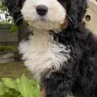 processed/3c2083a3-6458-4cc1-88ee-d62a0c0ca710/facility/f98cd0cc-1221-4438-a767-e5b66a26eb47