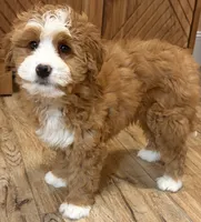 processed/3c2083a3-6458-4cc1-88ee-d62a0c0ca710/listing/47079d1b-a1e2-4ed9-884d-242d12c5e840/2f1186cf-e3c9-483c-84c7-41b3cfd6d4e9