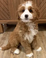 processed/3c2083a3-6458-4cc1-88ee-d62a0c0ca710/listing/47079d1b-a1e2-4ed9-884d-242d12c5e840/76141807-e3f3-47f2-8530-cd956e88f554