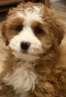 processed/3c2083a3-6458-4cc1-88ee-d62a0c0ca710/listing/47079d1b-a1e2-4ed9-884d-242d12c5e840/dc3b54df-b7d9-4f97-a4e6-8d910c3b2bb0