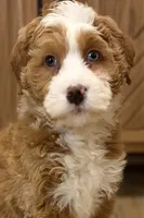 processed/3c2083a3-6458-4cc1-88ee-d62a0c0ca710/listing/88ffecf4-cc98-412c-83a4-404eef61a529/3435d064-0fcc-40cc-bd40-db74e3b2388c