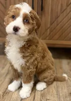 processed/3c2083a3-6458-4cc1-88ee-d62a0c0ca710/listing/88ffecf4-cc98-412c-83a4-404eef61a529/37064577-075c-4f88-9039-e32154af14be