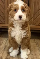 processed/3c2083a3-6458-4cc1-88ee-d62a0c0ca710/listing/88ffecf4-cc98-412c-83a4-404eef61a529/520f46c4-1d08-4eb1-b586-1fdd2c3847d4