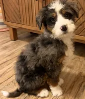 processed/3c2083a3-6458-4cc1-88ee-d62a0c0ca710/listing/abe8c6ba-1492-45d4-92ca-1eb484c0fa5f/56d7f8af-b9ef-4502-8e80-75a7b707ef01