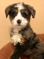 processed/3c2083a3-6458-4cc1-88ee-d62a0c0ca710/listing/abe8c6ba-1492-45d4-92ca-1eb484c0fa5f/5c0e4f6b-64b4-411c-bf66-a557cb738253