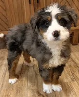 processed/3c2083a3-6458-4cc1-88ee-d62a0c0ca710/listing/abe8c6ba-1492-45d4-92ca-1eb484c0fa5f/62f0f320-6196-4002-93f3-293efa5ca844