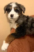 processed/3c2083a3-6458-4cc1-88ee-d62a0c0ca710/listing/abe8c6ba-1492-45d4-92ca-1eb484c0fa5f/83271653-8443-46b6-bfc1-d15db8b671ac