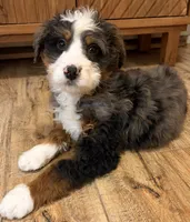 processed/3c2083a3-6458-4cc1-88ee-d62a0c0ca710/listing/abe8c6ba-1492-45d4-92ca-1eb484c0fa5f/871e23ba-7ef7-42b4-a1de-c345782973cf