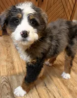 processed/3c2083a3-6458-4cc1-88ee-d62a0c0ca710/listing/abe8c6ba-1492-45d4-92ca-1eb484c0fa5f/94b72836-9e2a-4dee-aa63-1edeee66818f