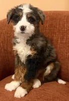 processed/3c2083a3-6458-4cc1-88ee-d62a0c0ca710/listing/abe8c6ba-1492-45d4-92ca-1eb484c0fa5f/c7de4047-2726-4afc-b1e7-185142e40743