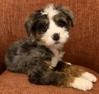 processed/3c2083a3-6458-4cc1-88ee-d62a0c0ca710/listing/abe8c6ba-1492-45d4-92ca-1eb484c0fa5f/ca797922-4c39-41d6-bb99-e39f0e362a09